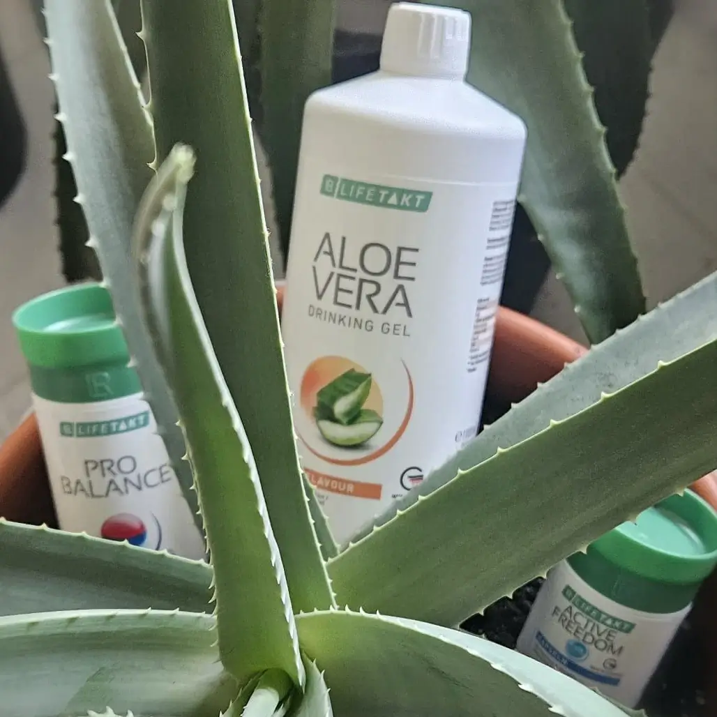 page_gesund-vital_1028x1028-001